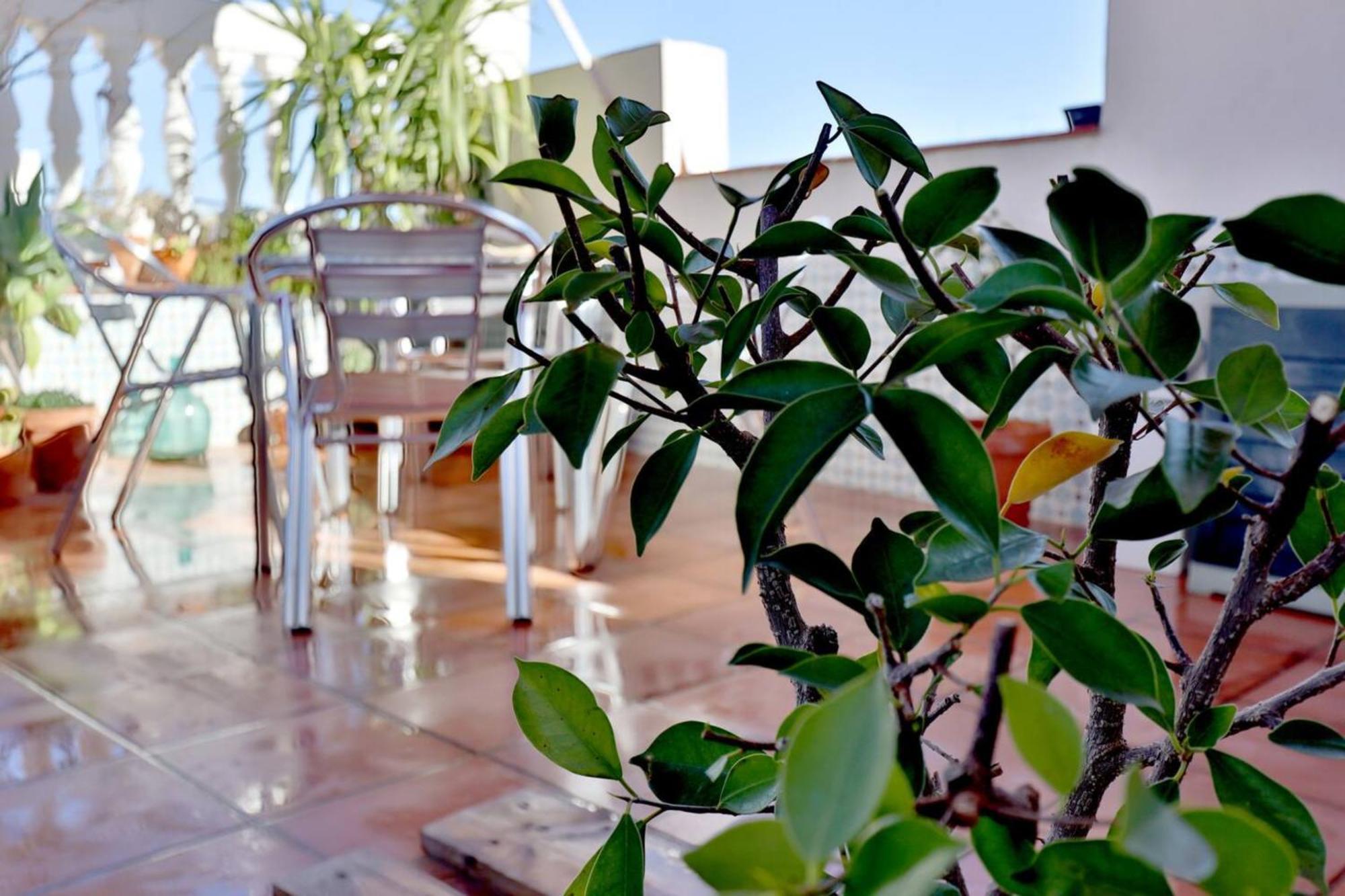 Ferienwohnung Atico Con Terraza En Pleno Centro Córdoba Exterior foto